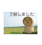 こころ休まる花と風景(12)（個別スタンプ：3）