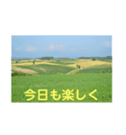 こころ休まる花と風景(12)（個別スタンプ：4）