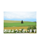 こころ休まる花と風景(12)（個別スタンプ：6）