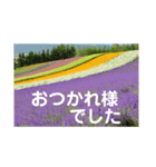 こころ休まる花と風景(12)（個別スタンプ：7）