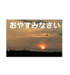 こころ休まる花と風景(12)（個別スタンプ：8）
