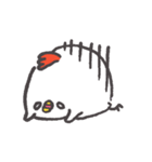 しろめこっこ（個別スタンプ：3）