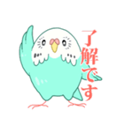もちまる鳥 セキセイインコ編（個別スタンプ：1）