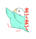 もちまる鳥 セキセイインコ編（個別スタンプ：2）