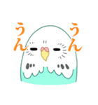 もちまる鳥 セキセイインコ編（個別スタンプ：3）