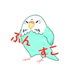 もちまる鳥 セキセイインコ編（個別スタンプ：5）