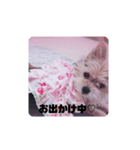 ♡可愛い♡スズ姫（個別スタンプ：5）
