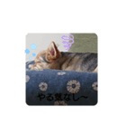 ♡可愛い♡スズ姫（個別スタンプ：7）