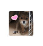 ♡可愛い♡スズ姫（個別スタンプ：8）