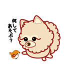 もふもふほんわか ポメラニアンのきもち（個別スタンプ：3）