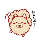 もふもふほんわか ポメラニアンのきもち（個別スタンプ：7）