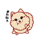 もふもふほんわか ポメラニアンのきもち（個別スタンプ：9）