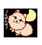もふもふほんわか ポメラニアンのきもち（個別スタンプ：11）