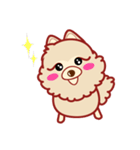 もふもふほんわか ポメラニアンのきもち（個別スタンプ：12）