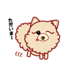 もふもふほんわか ポメラニアンのきもち（個別スタンプ：15）