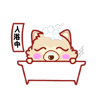 もふもふほんわか ポメラニアンのきもち（個別スタンプ：18）