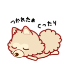 もふもふほんわか ポメラニアンのきもち（個別スタンプ：19）