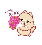 もふもふほんわか ポメラニアンのきもち（個別スタンプ：32）