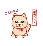 もふもふほんわか ポメラニアンのきもち（個別スタンプ：33）