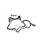 ねこがかり2（個別スタンプ：12）
