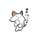 ねこがかり2（個別スタンプ：36）