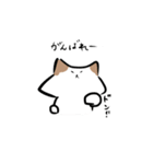 ねこがかり2（個別スタンプ：37）