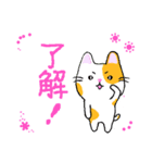 ねこのタマちゃんスタンプ（個別スタンプ：19）