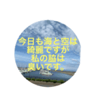 ワキガの人のためのスタンプ（個別スタンプ：8）