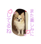 蓮くんのご挨拶（個別スタンプ：3）