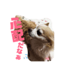 蓮くんのご挨拶（個別スタンプ：6）
