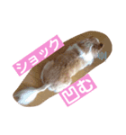 蓮くんのご挨拶（個別スタンプ：8）