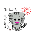 毎日使えるスコティッシュフォールドねこ（個別スタンプ：1）