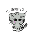 毎日使えるスコティッシュフォールドねこ（個別スタンプ：3）
