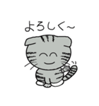 毎日使えるスコティッシュフォールドねこ（個別スタンプ：4）