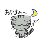 毎日使えるスコティッシュフォールドねこ（個別スタンプ：6）