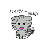 毎日使えるスコティッシュフォールドねこ（個別スタンプ：8）
