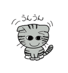 毎日使えるスコティッシュフォールドねこ（個別スタンプ：9）