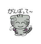 毎日使えるスコティッシュフォールドねこ（個別スタンプ：10）