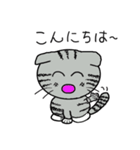 毎日使えるスコティッシュフォールドねこ（個別スタンプ：12）
