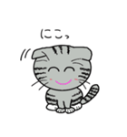 毎日使えるスコティッシュフォールドねこ（個別スタンプ：13）