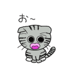 毎日使えるスコティッシュフォールドねこ（個別スタンプ：15）