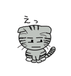 毎日使えるスコティッシュフォールドねこ（個別スタンプ：18）