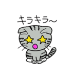 毎日使えるスコティッシュフォールドねこ（個別スタンプ：20）