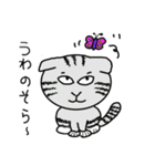 毎日使えるスコティッシュフォールドねこ（個別スタンプ：21）