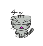 毎日使えるスコティッシュフォールドねこ（個別スタンプ：22）