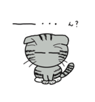毎日使えるスコティッシュフォールドねこ（個別スタンプ：23）