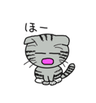 毎日使えるスコティッシュフォールドねこ（個別スタンプ：24）