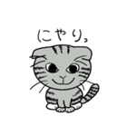 毎日使えるスコティッシュフォールドねこ（個別スタンプ：27）