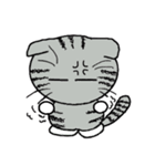 毎日使えるスコティッシュフォールドねこ（個別スタンプ：28）