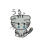 毎日使えるスコティッシュフォールドねこ（個別スタンプ：30）